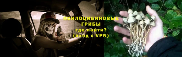каннабис Магас