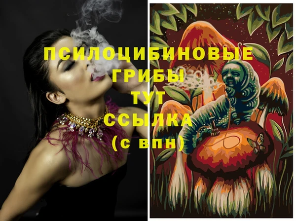 спайс Ладушкин