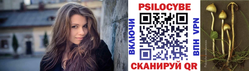 Псилоцибиновые грибы ЛСД  Купить где  Новоузенск 